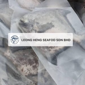 Chinese Pomfret