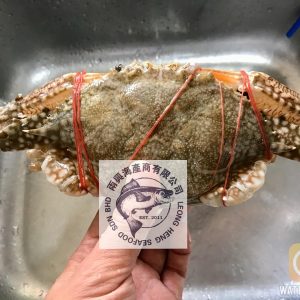 blue crab